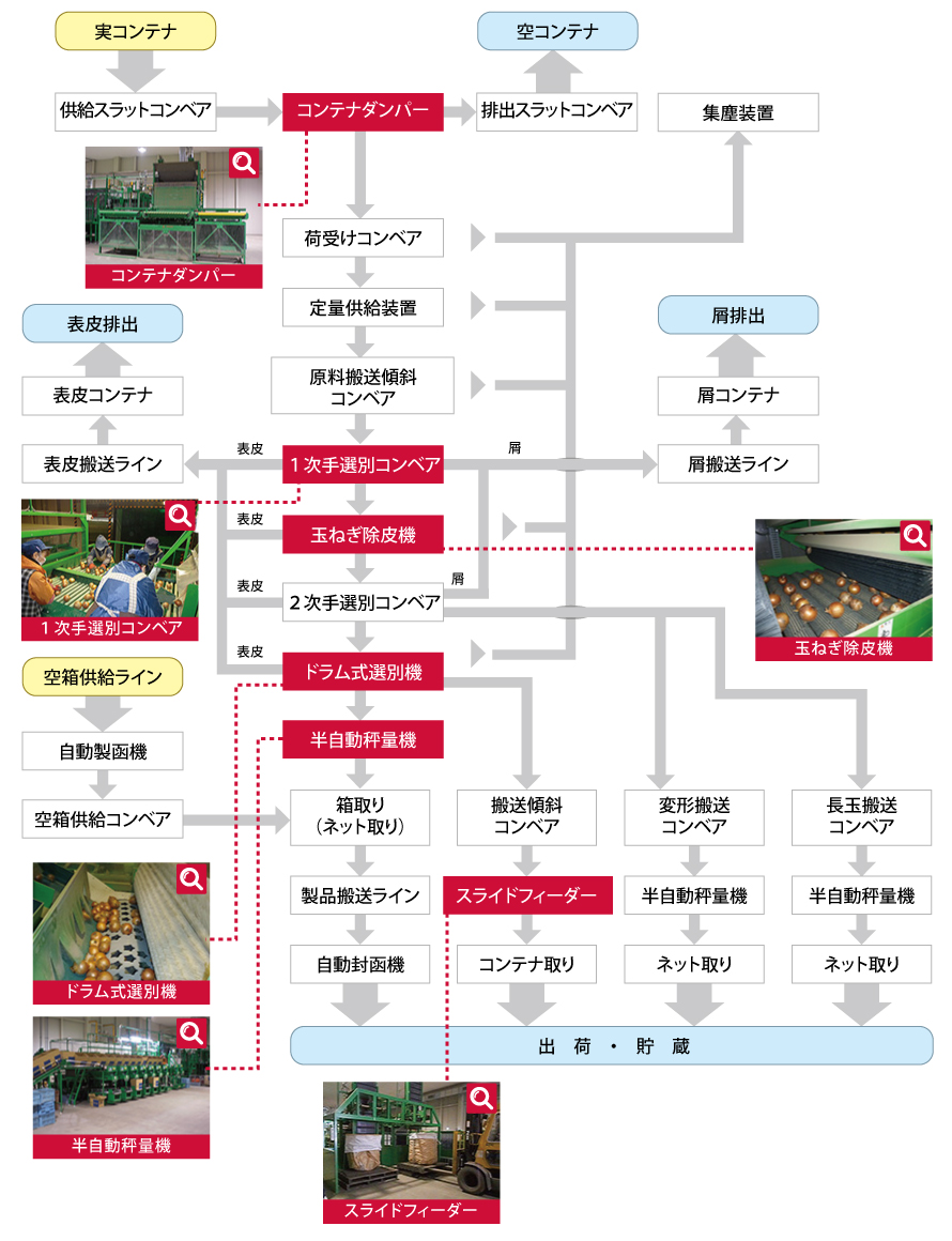 玉ねぎ選果施設