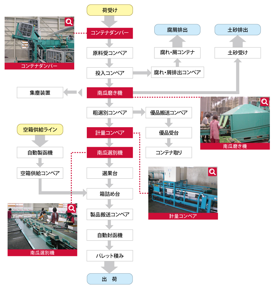 南瓜施設