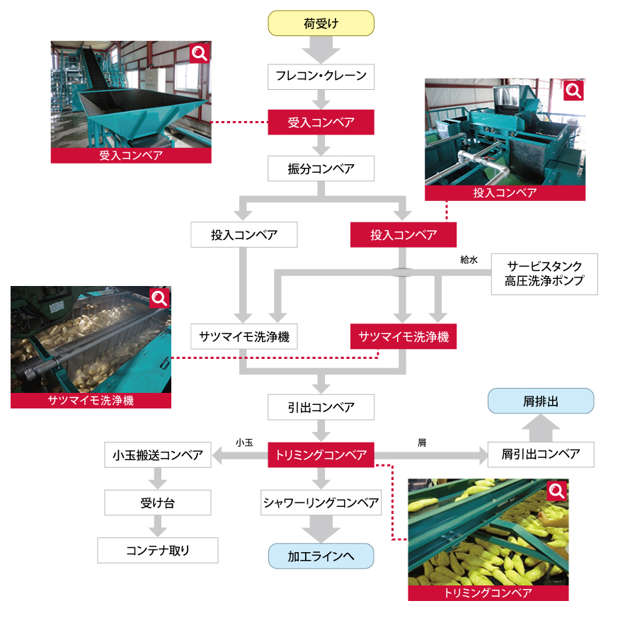 加工用さつまいも施設