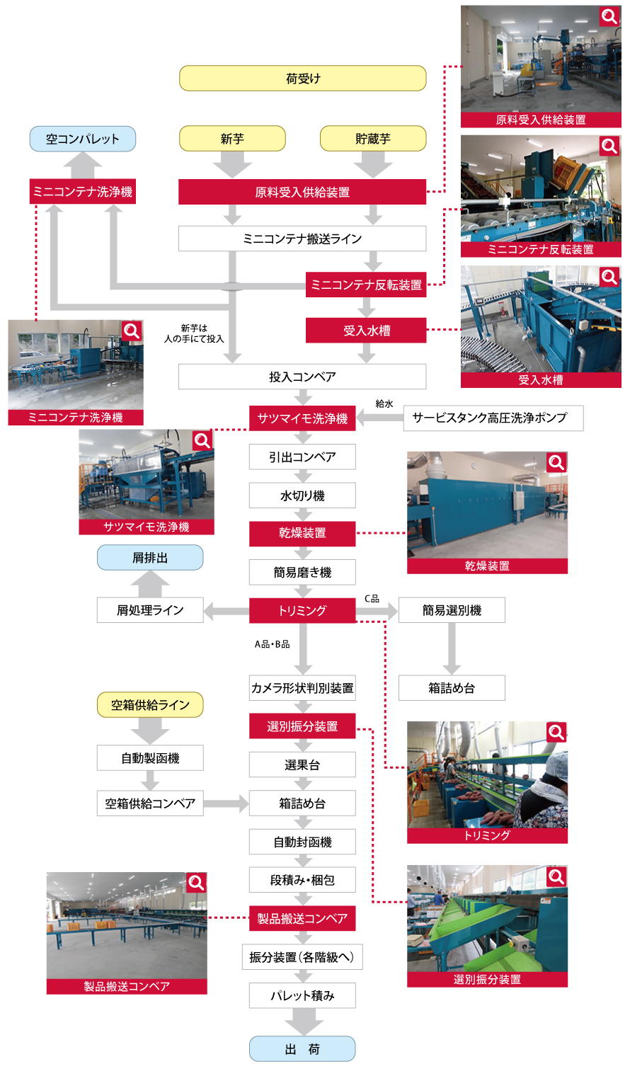 青果さつまいも施設